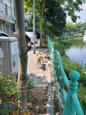 iRest Orange Tay Ho Lakeside Apartment