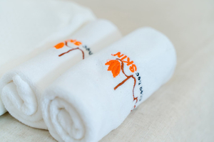 Spa Cầu Giấy - Thanh Skin Spa