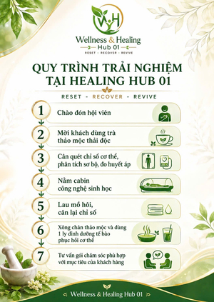 Wellness & Healing Hub 01