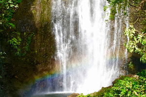 East Maui: Private Rainforest Tour or Road to Hana Loop Tour