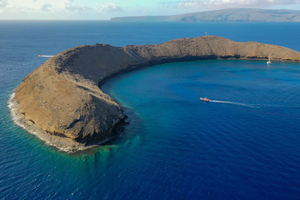 From Kihei: Molokini Crater and Turtle Town Snorkeling