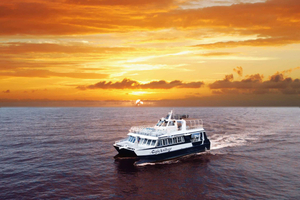 Desde Ma'alaea: crucero con cena al atardecer a bordo del Quicksilver
