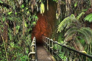 From the Big Island: Hawaii Volcanoes National Park Tour