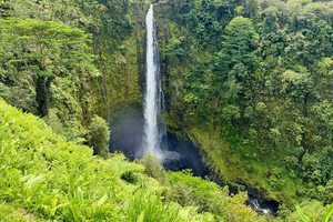 Hilo: cascadas de Akaka, playa de arena negra y tour de tortugas