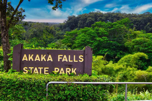 Hilo : visite guidée des chutes d'Akaka, des volcans et des chutes Rainbow
