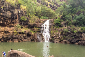Honolulu: Excursión guiada en autobús de día completo por la isla de Oahu con almuerzo