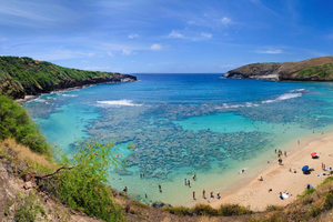 Honolulu: Oahu bezienswaardigheden en hapjes Circle Island Foodie Tour