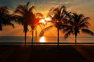 Honolulu: Sunset Segway Tour to Magic Island & Waikiki Views