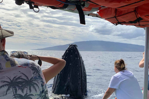 Ka'anapali: Whale Watching Boat Tour