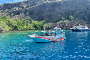 Kailua-Kona: Captain Cook Reef Catamaran Dagtrip met Lunch