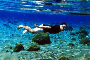 Kailua Kona: Cook Snorkkelikierros: Delfiini, meriluola ja Captain Cook Snorkkelikierros