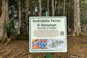 Kauai: Hindu Monastery and Sacred Rudraksha Forest Tour