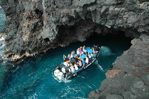 Bahía de Kealakekua: Excursión matinal de snorkel