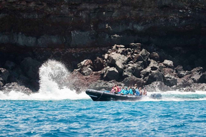 Bahía de Kealakekua: Esnórquel y Aventura Costera con Comida