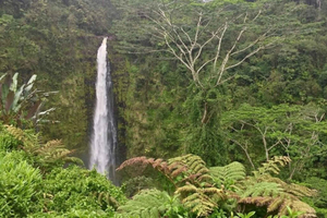 Kona: Aventura en el Gran Volcán de la Gran Isla