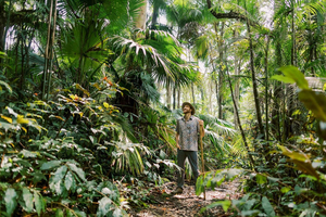 Kona Cloud Forest Sanctuary Montane Jungle Tour (2.5 hrs)
