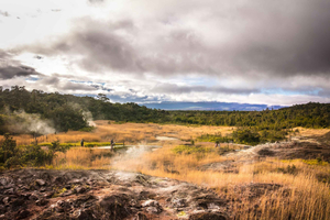 Kona: Hawaii Volcanoes National Park Tour