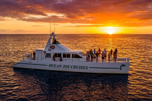 Luxe rondvaart tijdens zonsondergang, snorkelen, walvissen en dolfijnen spotten