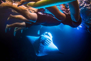 Schnorcheln mit Mantarochen in Kailua-Kona mit heißer Schokolade