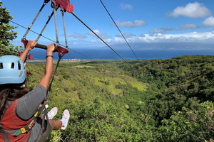 Maui: Äventyr med 4 dubbla ziplines och hängbro