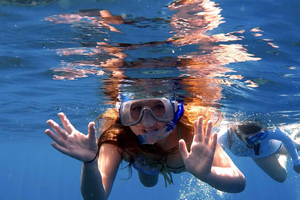 Maui and Lanai: Snorkel and Dolphin Adventure Tour