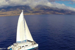 Maui: Dolphin Sailing Adventure with Lunch and Drinks