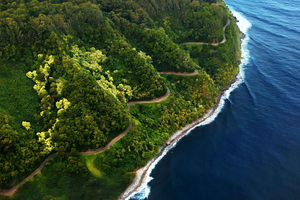 Maui: Excursión de un día a la paradisíaca Hana desde Kahului