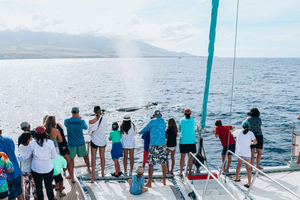 Maui: avistamiento de ballenas en Ka'anapali con descuento (embarcación con acceso desde la playa)