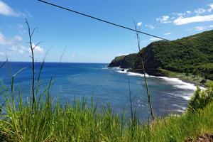 Maui : Ruta a Hana con servicio de recogida cerca del puerto de cruceros