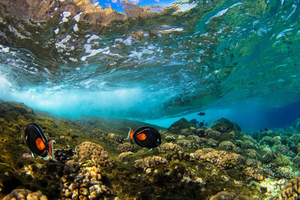 Maui: Snorkelen en Sunset Sail met waterglijbaan