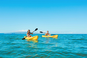 Maui: Turtle Town Kajak und Schnorchel Tour