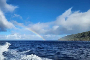 O‘ahu: Whale Tails and Sunset Sails Small-Group Cruise