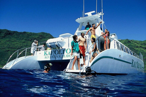Oahu: 3 zipline e crociera con snorkeling e avvistamento delfini tutto compreso