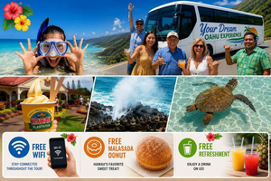 Isola di Oahu: tour di un'intera giornata | Sosta in spiaggia e Wi-Fi gratuito