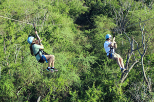 Oahu: Dole Plantation, Rum Tasting, and 3 Zipline Tour