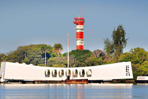 Oahu: General Admission & Guided Tower Tour Ticket