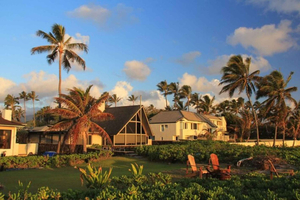 Oahu: Private custom tour with a local guide