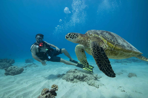 Oahu: Buceo para principiantes Waikiki Discovery