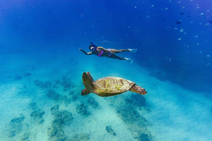 Oahu : Aventure de plongée avec masque et tuba pour les tortues de Waikiki