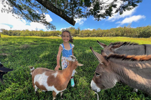 Pahoa: tour del ranch con interazione e alimentazione degli animali