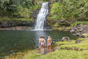 Tour privado con todo incluido por las cascadas de la isla de Hawái