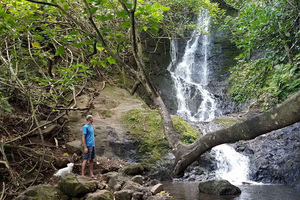 De la Selva a los Arrecifes: Bicicleta, Caminata, Vela y Snorkel