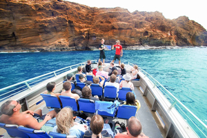 Zuid-Maui: Molokini & schildpaddenavontuur vanuit de haven van Maalaea