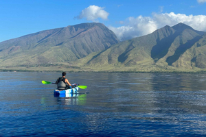 Turtle Town Coastal Kayak & Snorkel: Turtles Guaranteed