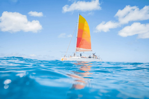 Waikīkī: crociera pomeridiana in catamarano con Holokai