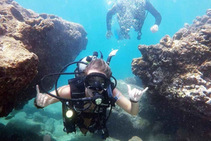 Waikiki: Honolulu Beginner Scuba Diving with Videos
