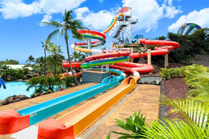 Zip & Dip: 3 Ziplines + Wet 'n' Wild Hawaii Wasserpark