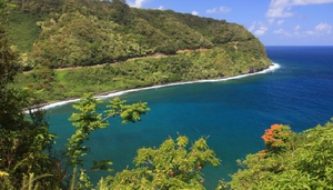 A Meandering Drive in Maui