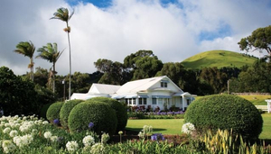 Anna Ranch