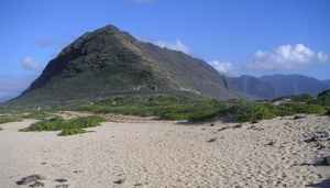 Ka'ena Point: A Sacred Sanctuary